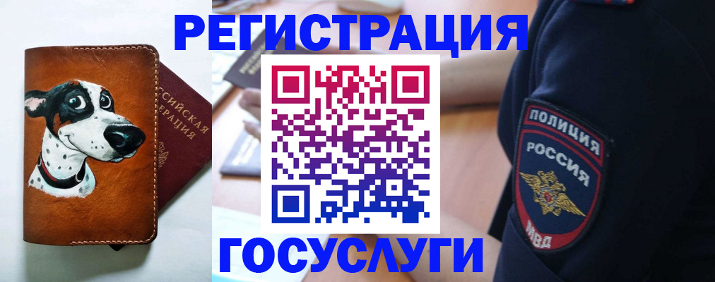 временная регистрация в квартире в Волоколамске